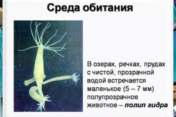 Пользователь не найден кракен даркнет